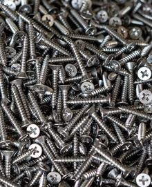 Screw Screw